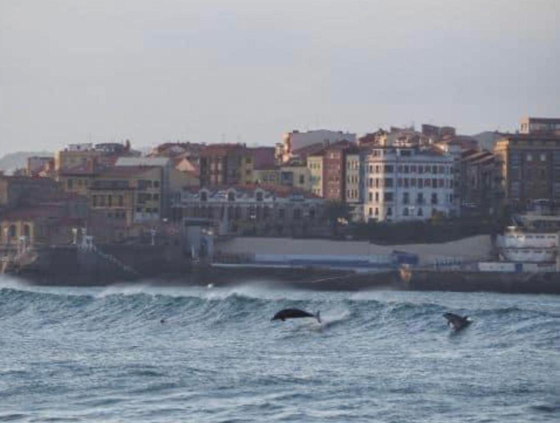 Alojamientos Muelle De Gijón Zewnętrze zdjęcie